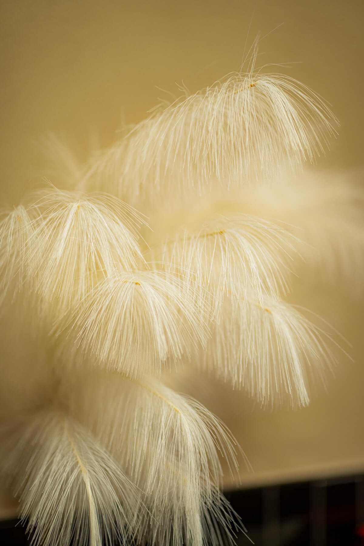 Decorative feather detail